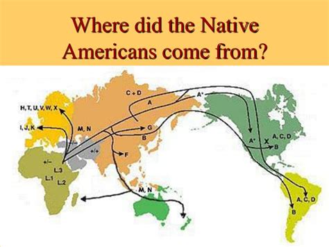 Where do native americans come from. Things To Know About Where do native americans come from. 
